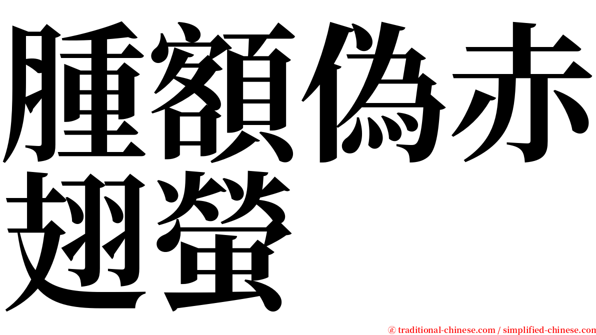 腫額偽赤翅螢 serif font