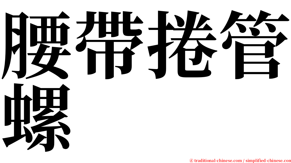 腰帶捲管螺 serif font