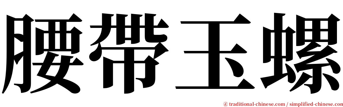 腰帶玉螺 serif font