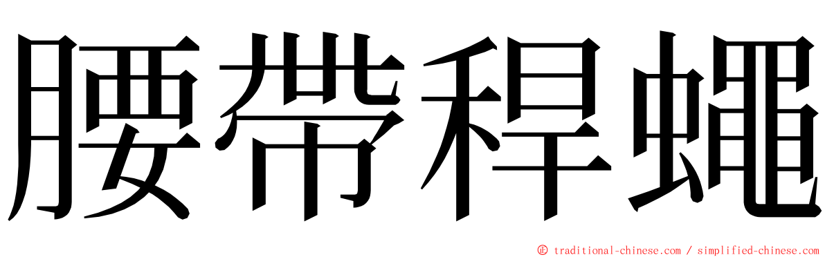 腰帶稈蠅 ming font