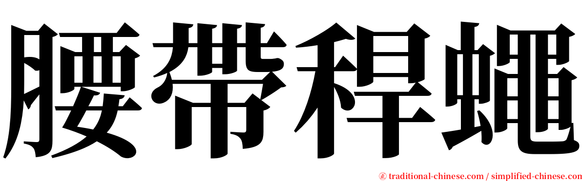 腰帶稈蠅 serif font