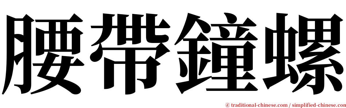 腰帶鐘螺 serif font