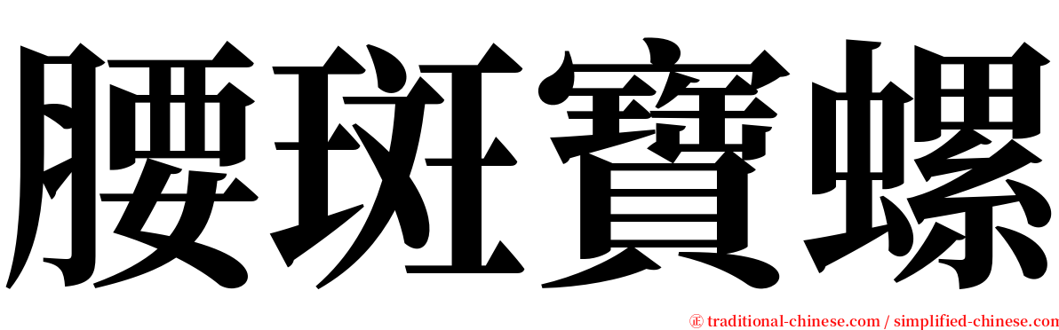 腰斑寶螺 serif font