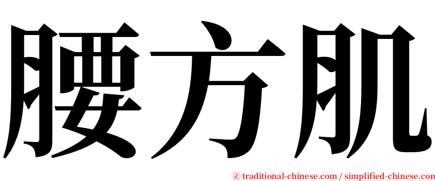 腰方肌 serif font