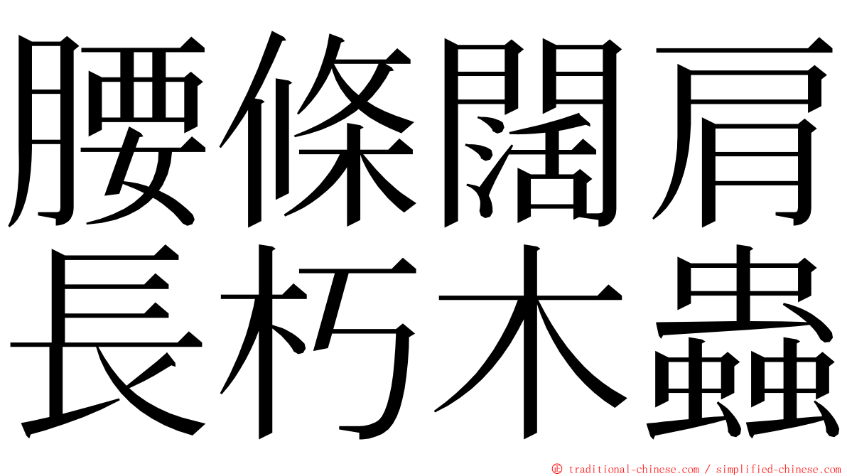 腰條闊肩長朽木蟲 ming font