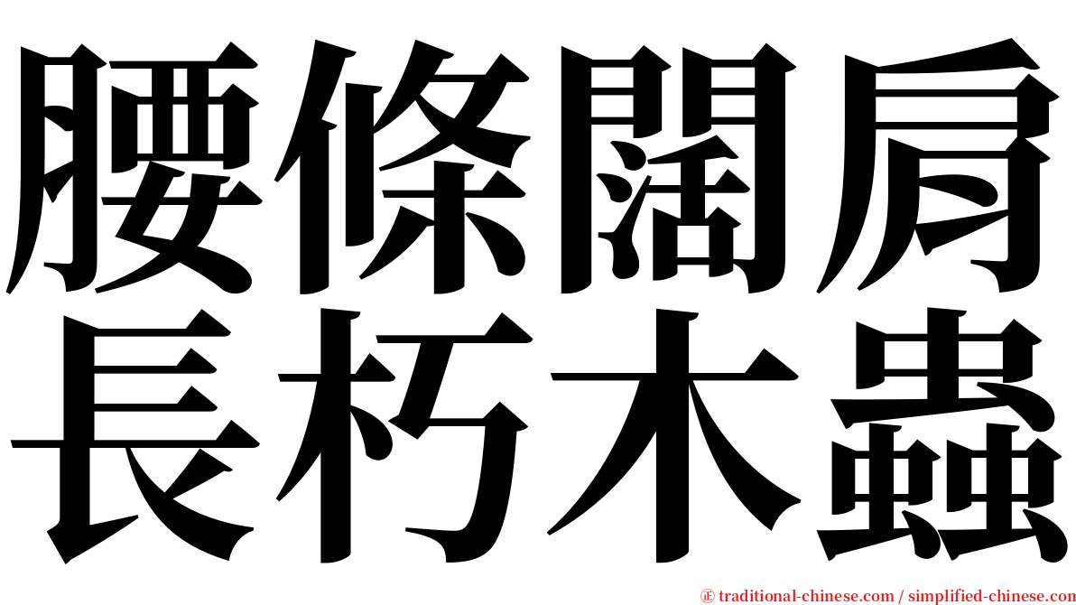 腰條闊肩長朽木蟲 serif font