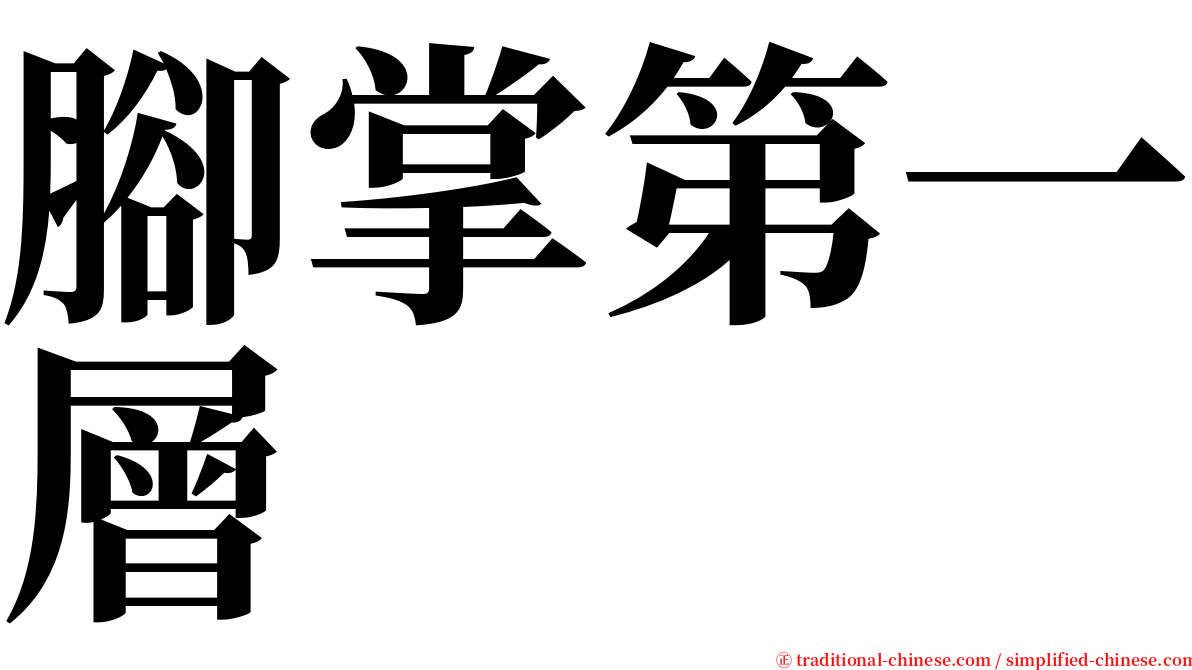 腳掌第一層 serif font