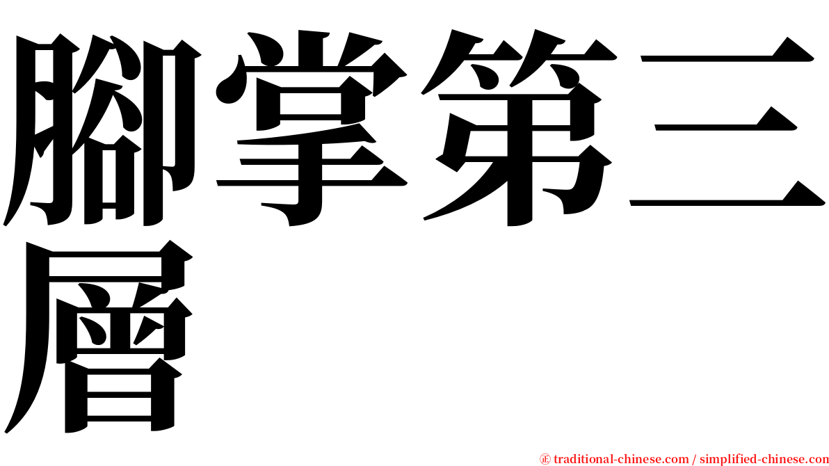 腳掌第三層 serif font