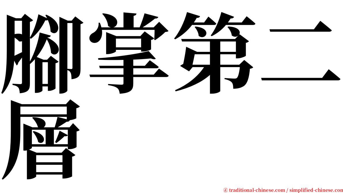 腳掌第二層 serif font