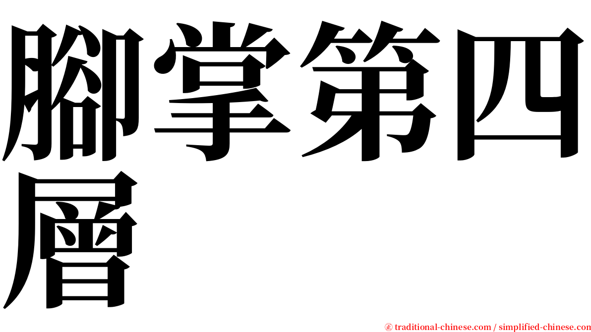 腳掌第四層 serif font