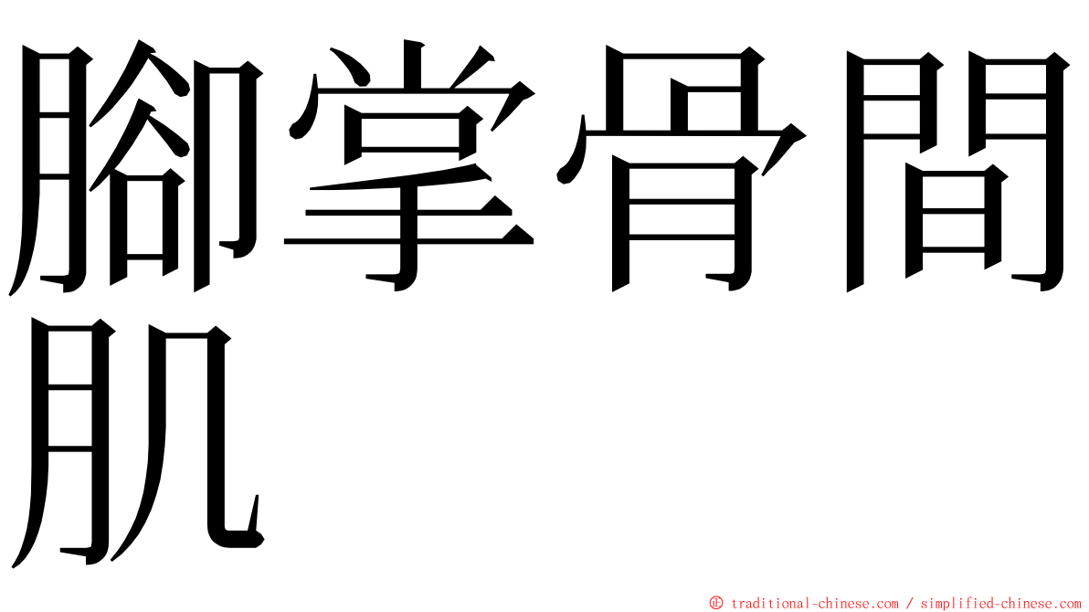 腳掌骨間肌 ming font