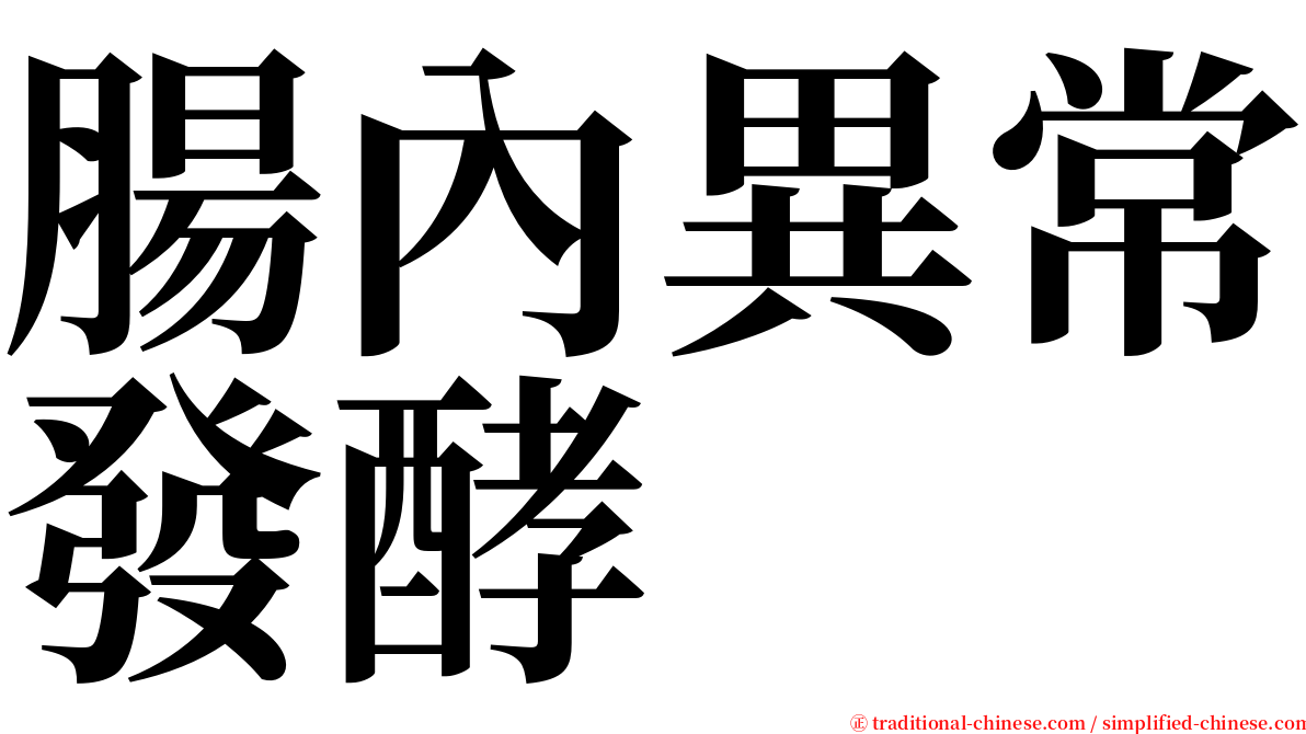 腸內異常發酵 serif font