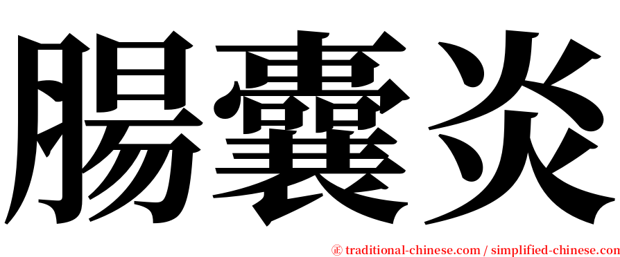 腸囊炎 serif font