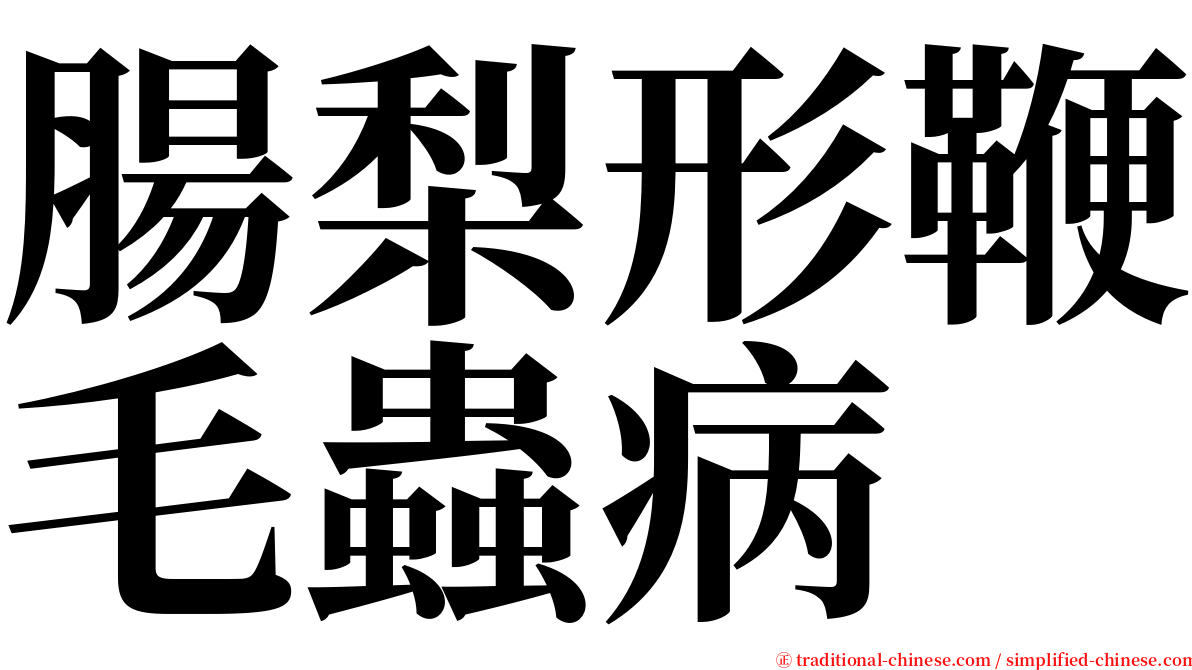 腸梨形鞭毛蟲病 serif font