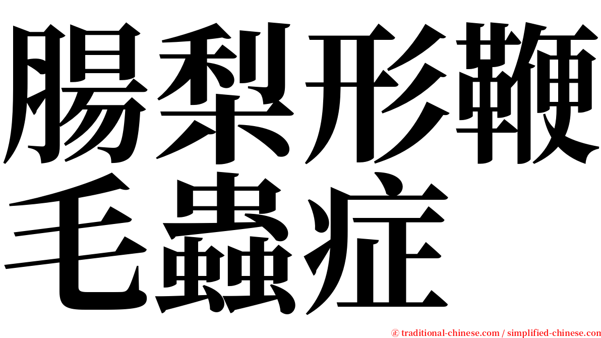 腸梨形鞭毛蟲症 serif font