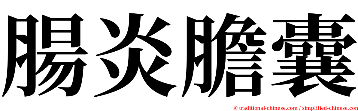 腸炎膽囊 serif font