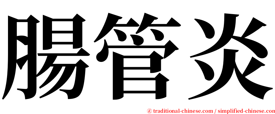 腸管炎 serif font