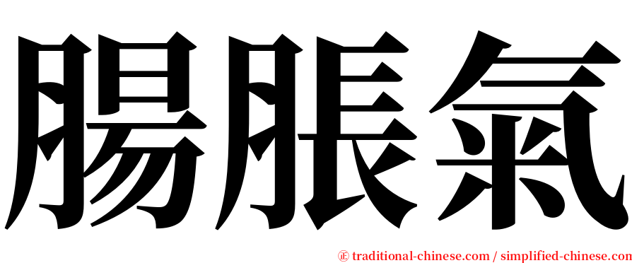 腸脹氣 serif font