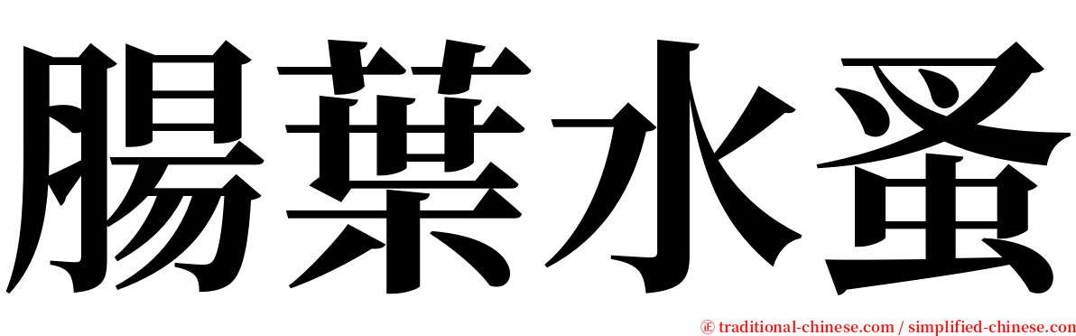 腸葉水蚤 serif font