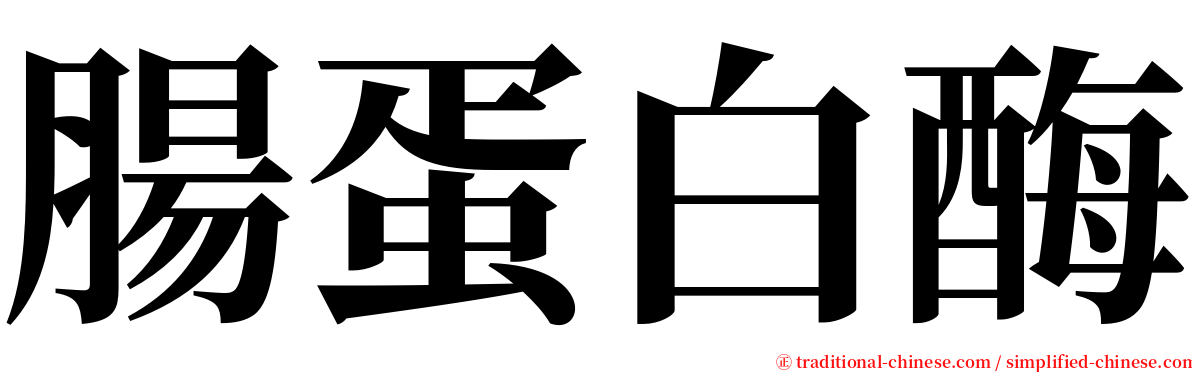 腸蛋白酶 serif font