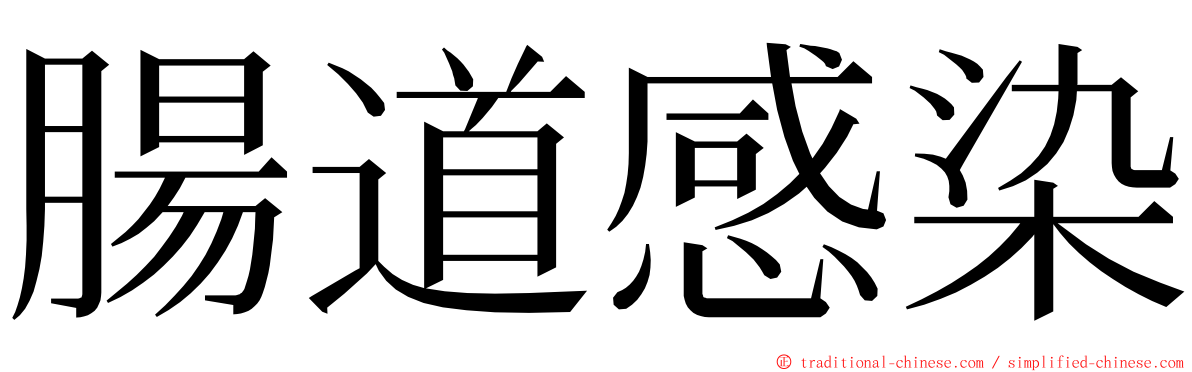 腸道感染 ming font