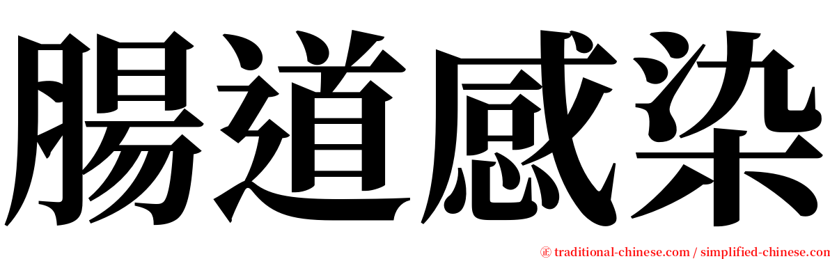 腸道感染 serif font