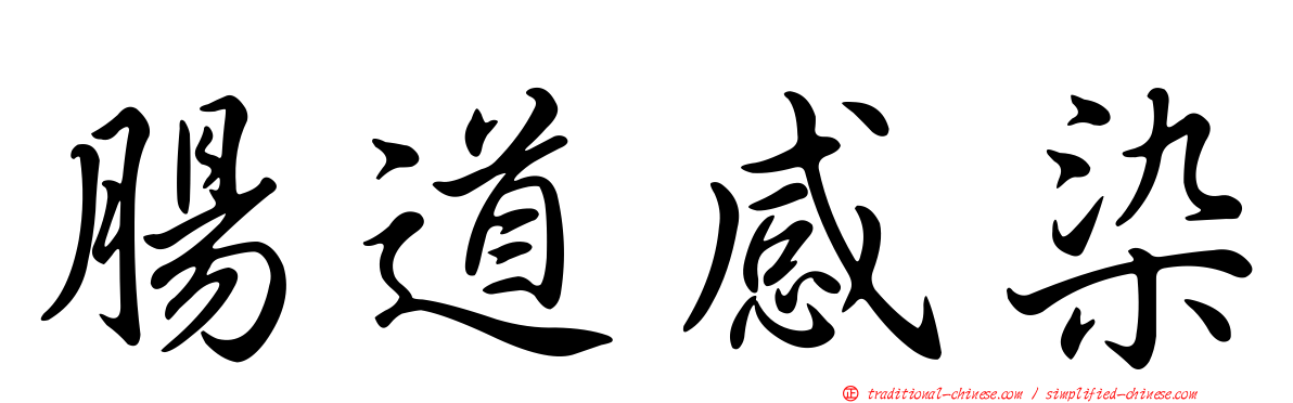 腸道感染
