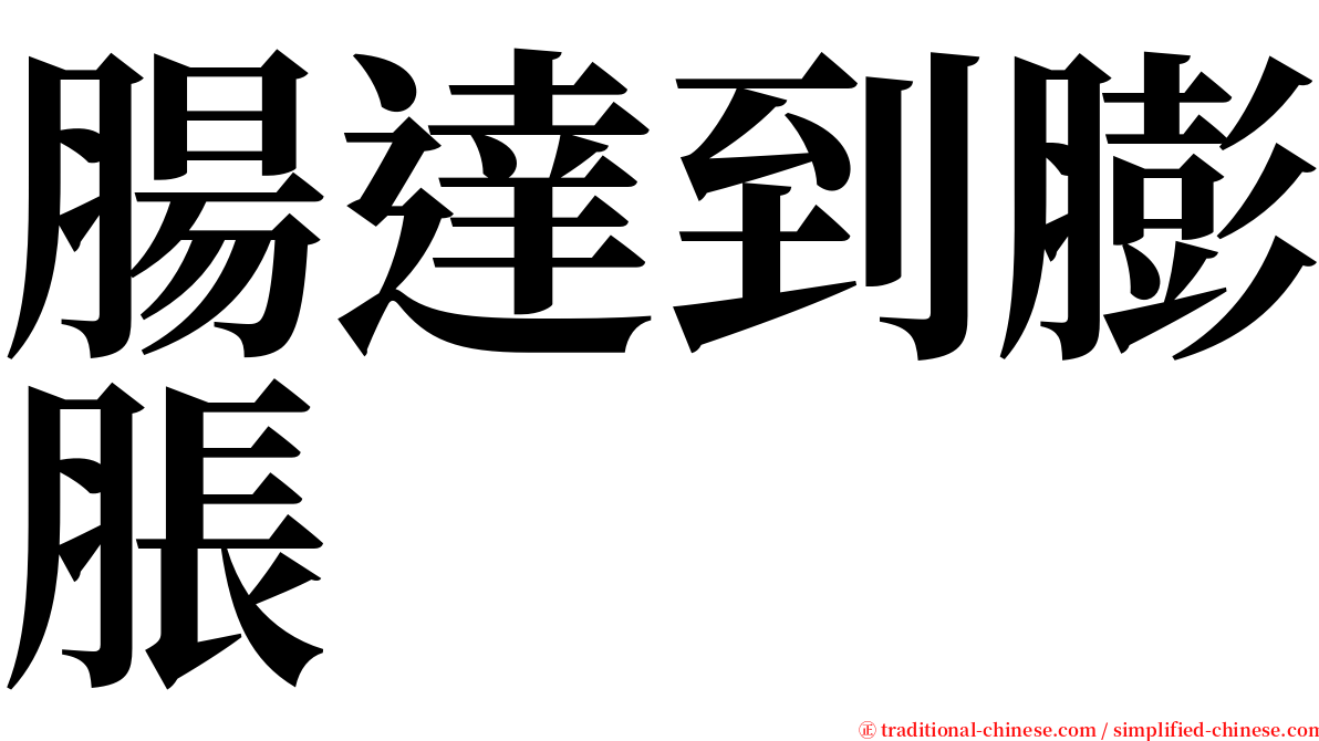 腸達到膨脹 serif font