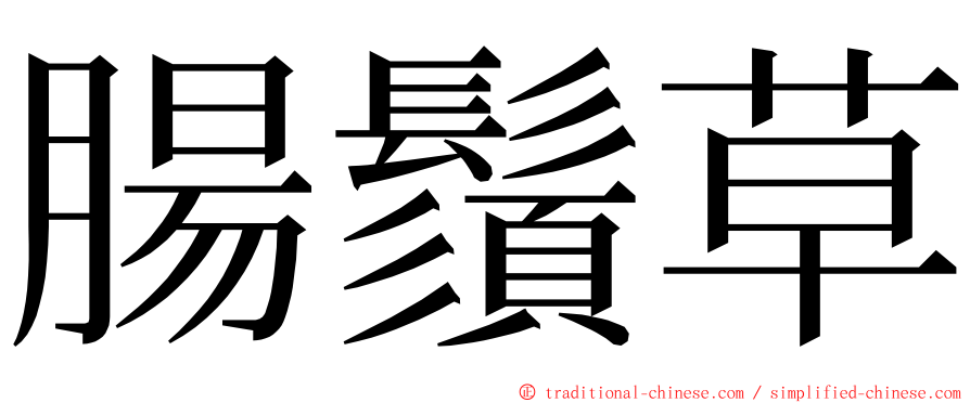 腸鬚草 ming font