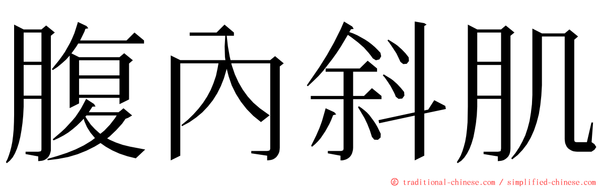 腹內斜肌 ming font