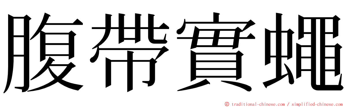 腹帶實蠅 ming font
