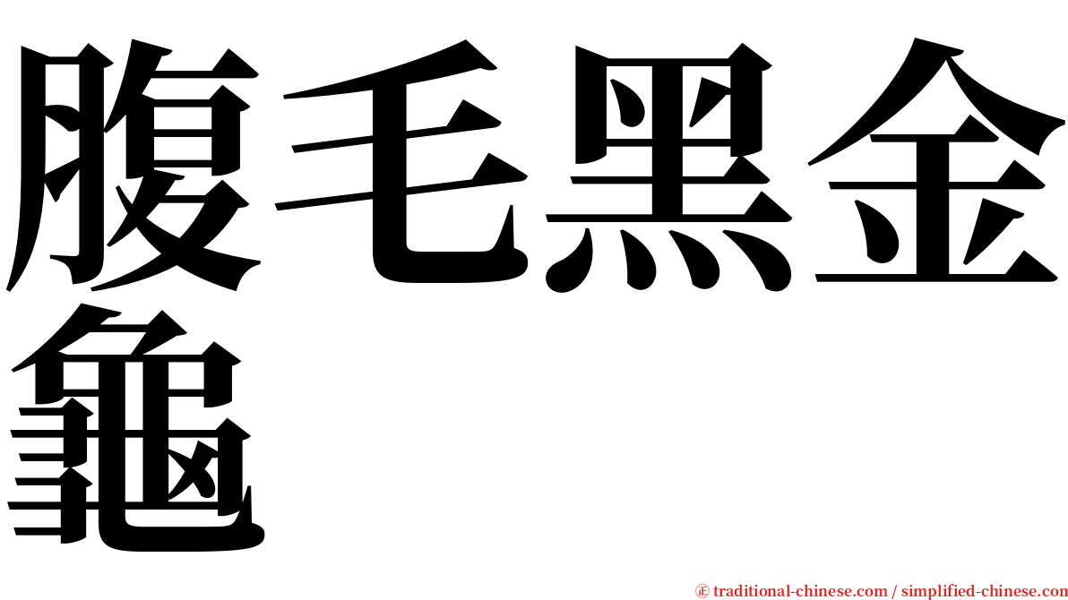 腹毛黑金龜 serif font