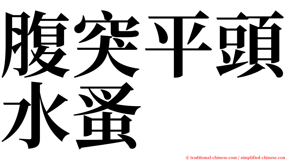 腹突平頭水蚤 serif font