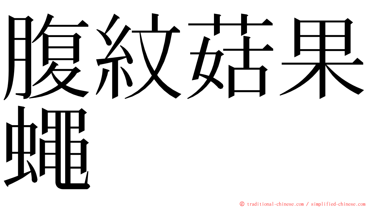 腹紋菇果蠅 ming font