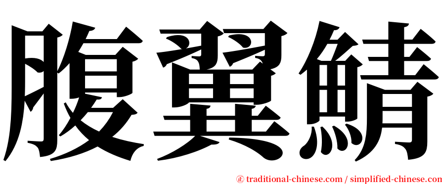 腹翼鯖 serif font