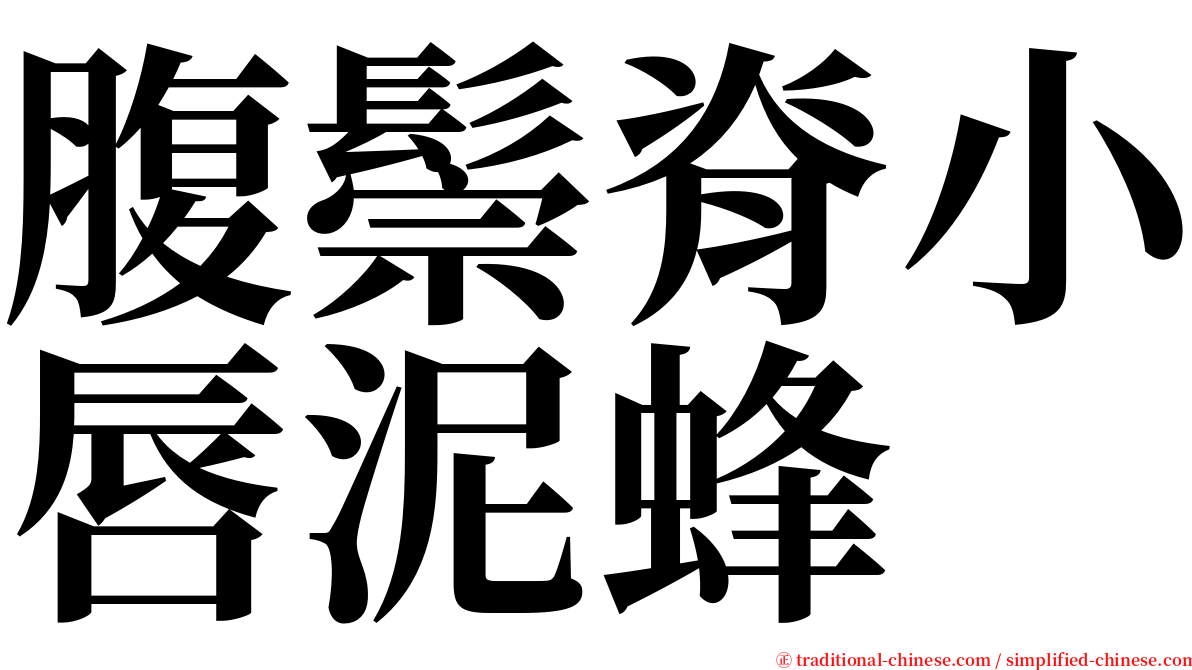 腹鬃脊小唇泥蜂 serif font