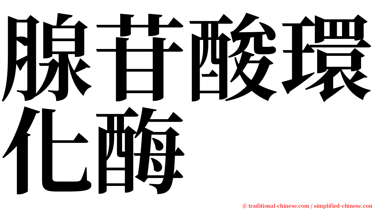 腺苷酸環化酶 serif font