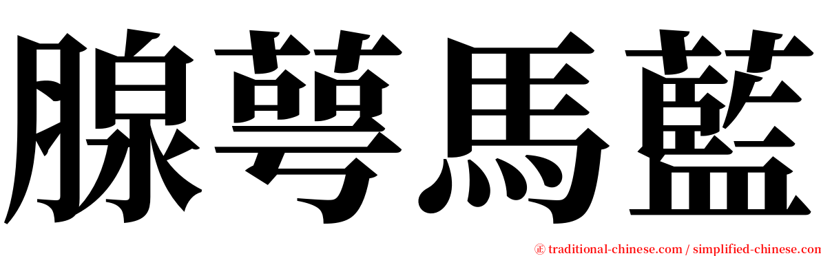 腺萼馬藍 serif font