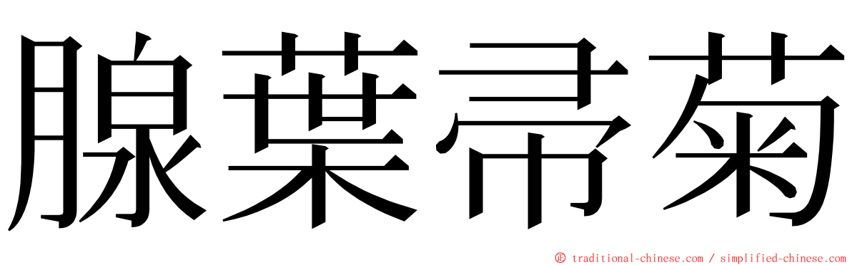 腺葉帚菊 ming font