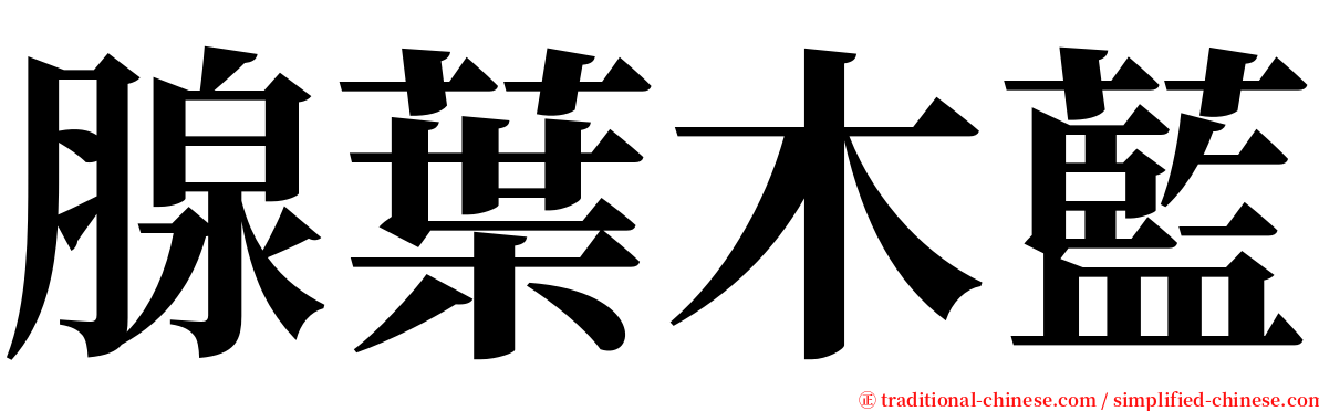 腺葉木藍 serif font