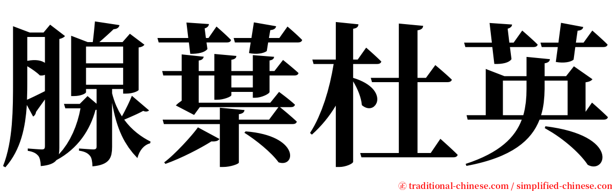 腺葉杜英 serif font