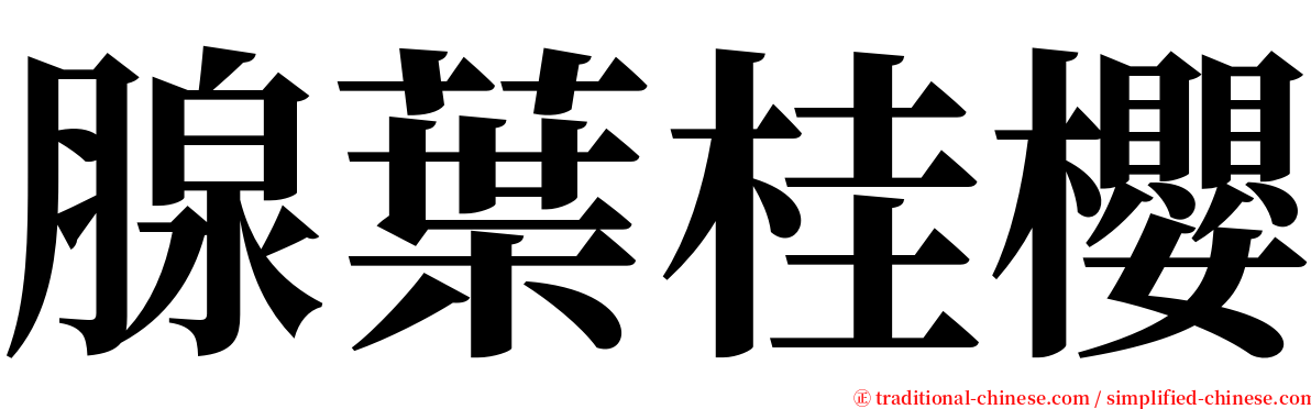 腺葉桂櫻 serif font