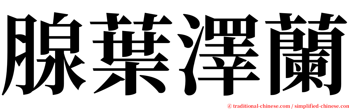 腺葉澤蘭 serif font