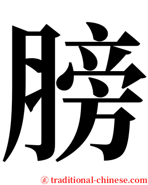 膀 serif font