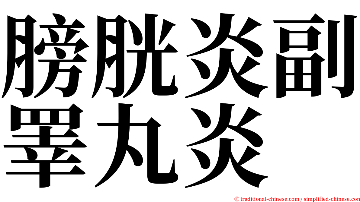 膀胱炎副睪丸炎 serif font