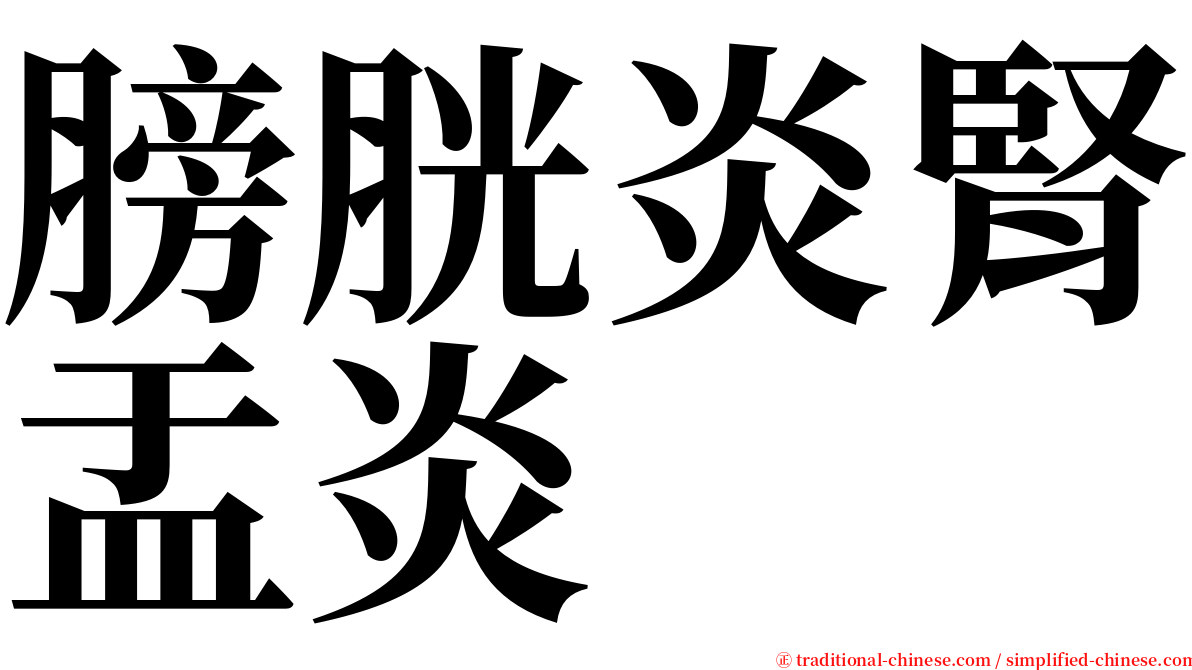 膀胱炎腎盂炎 serif font