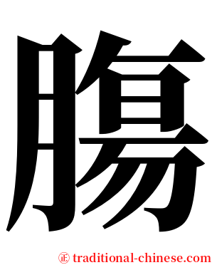 膓 serif font