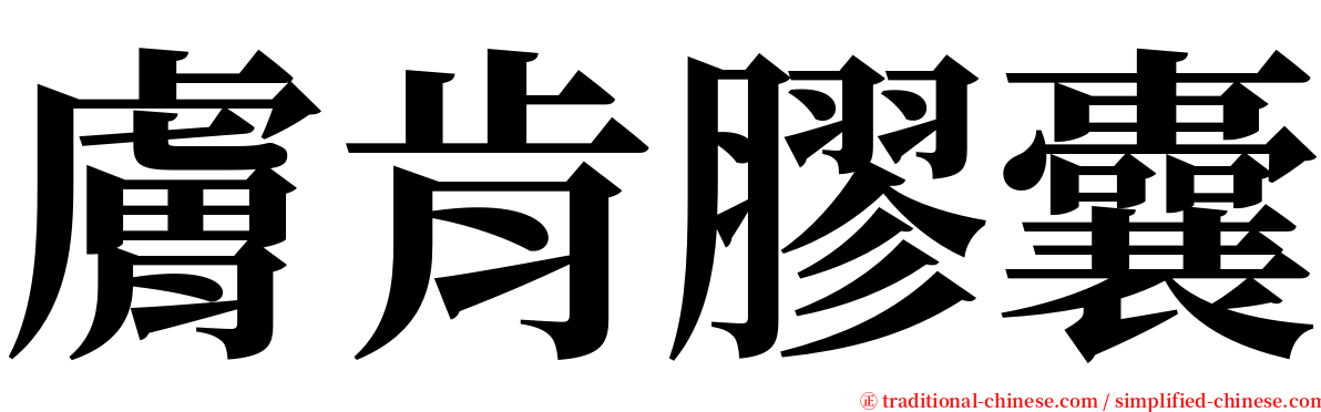 膚肯膠囊 serif font