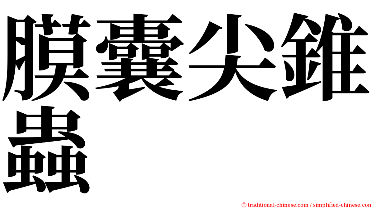 膜囊尖錐蟲 serif font