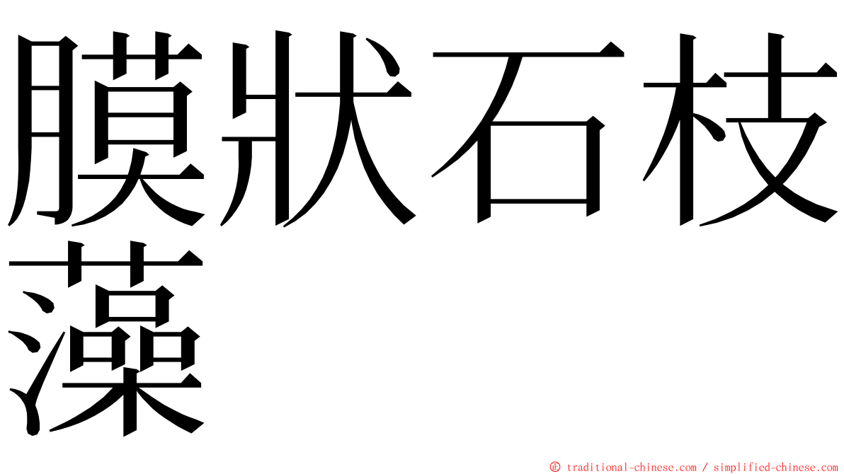 膜狀石枝藻 ming font